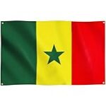 El Orgullo de Senegal en la Cancha: Análisis de los Mejores Productos de Baloncesto Inspirados en la Bandera Nacional
